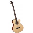 Chitarra Elettro-Acustica Stile FXC 