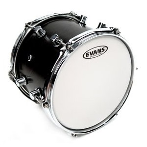 16" G1 Coated Tom/Timbale B16G1 Evans