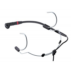 C 555 L AKG